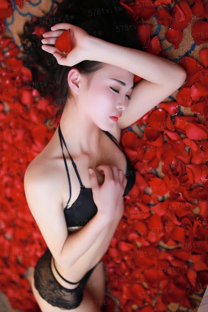 豚鼠特攻队