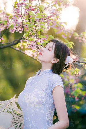 一级毛片视频