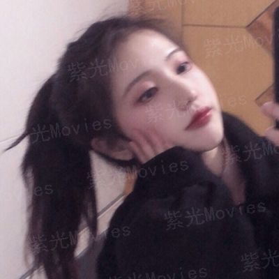 傻瓜猫和笨蛋狗