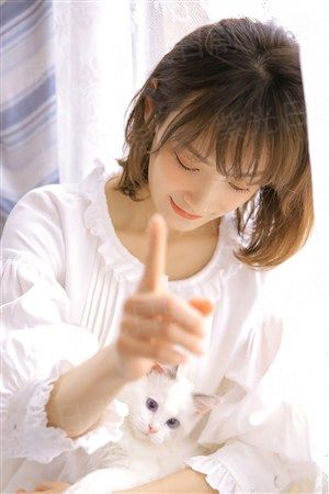狮入羊口