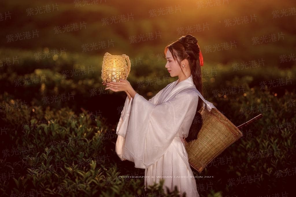 黑帮少爷爱上我